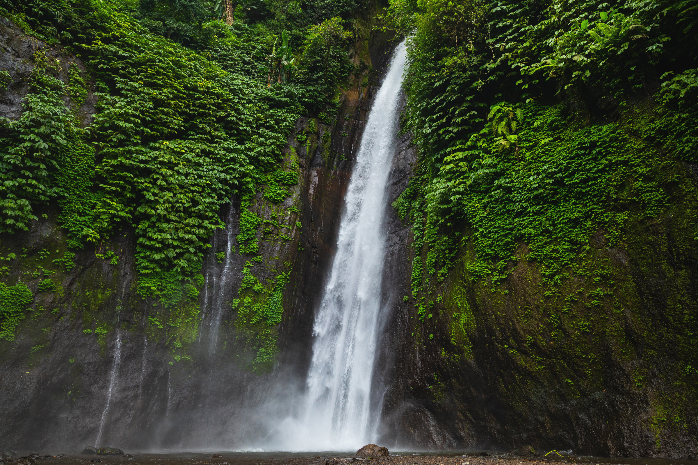 munduk, bali (2).webp